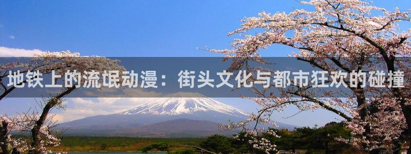 51动漫频道：地铁上的流氓动漫：街头文化与都市狂欢的碰撞