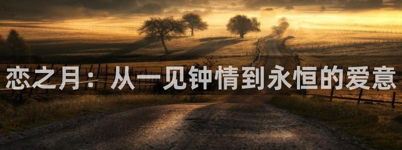 51动漫看片：恋之月：从一见钟情到永恒的爱意