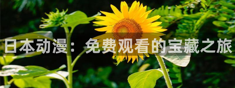 51动漫h：日本动漫：免费观看的宝藏之旅