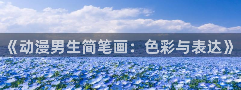 动漫51动漫：《动漫男生简笔画：色彩与表达》